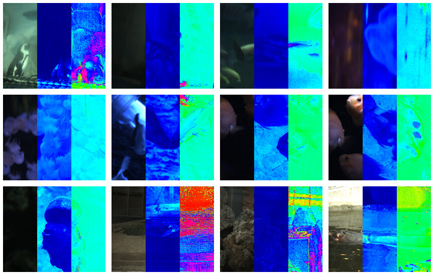 Animal subset of the PV benchmark